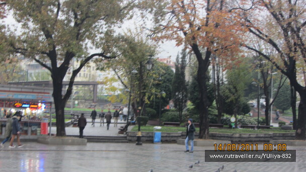 photo 425344