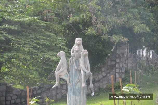 photo 1084790
