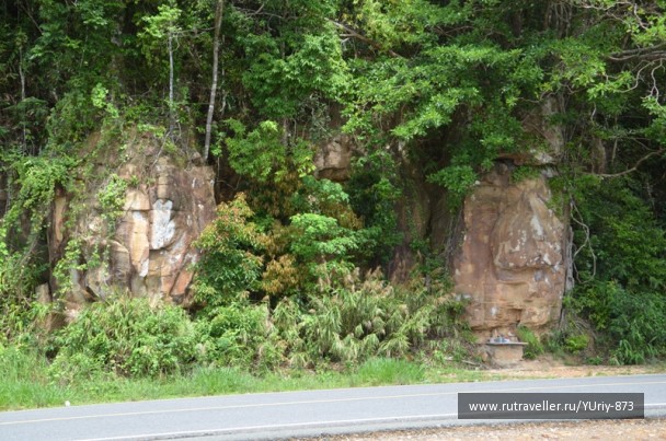 photo 1084829
