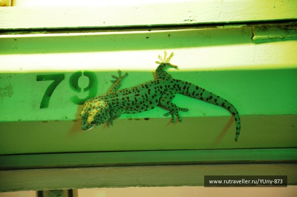 photo 1111713