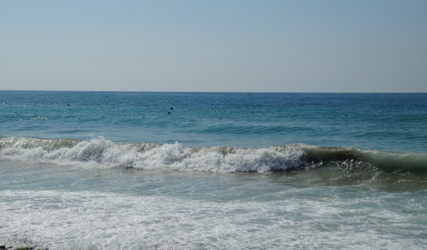 DSC00082