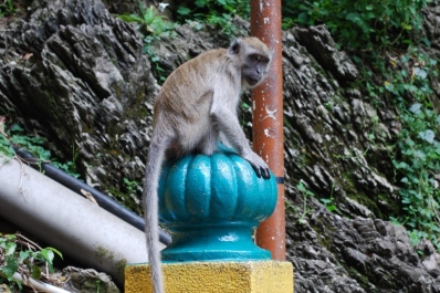 photo 2043824