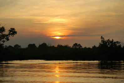 photo 78761