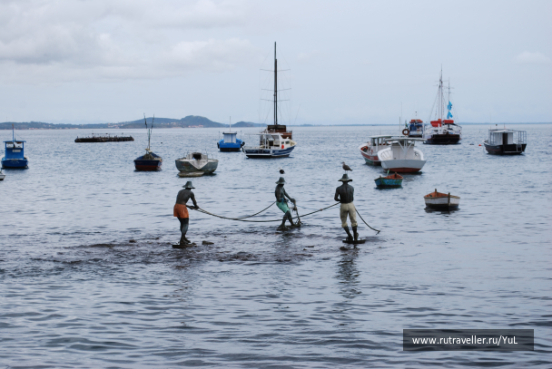 photo 1611785