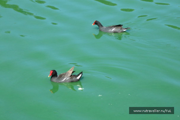 photo 1624562