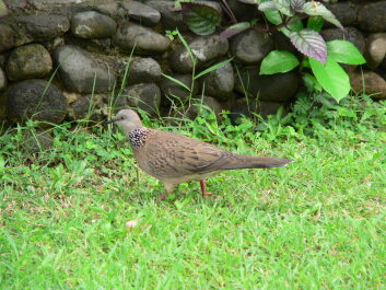 photo 1624251