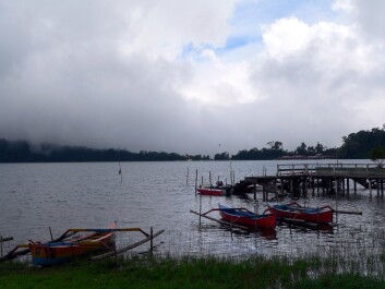 photo 20282