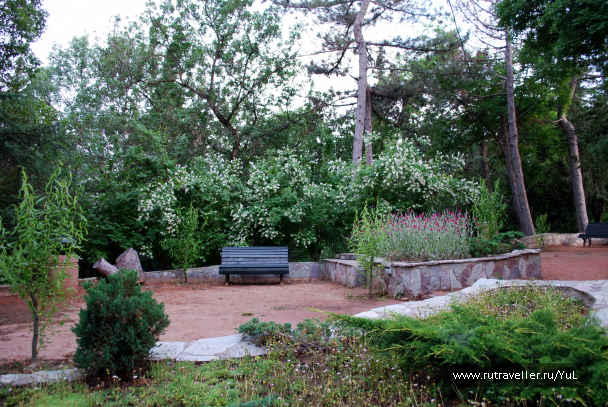 photo 1620332