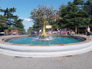 photo 2016155