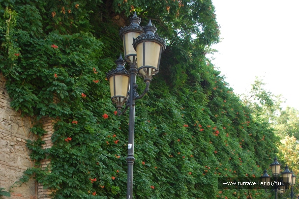 photo 2046806