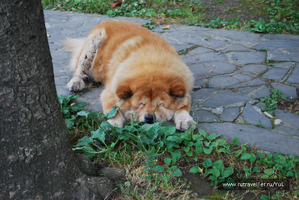 photo 1604573