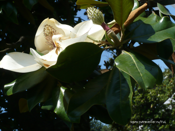 photo 1613678