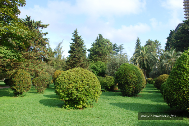 photo 2015940
