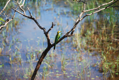 photo 2025056