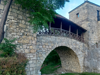 photo 2016430