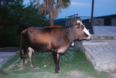 photo 2033214
