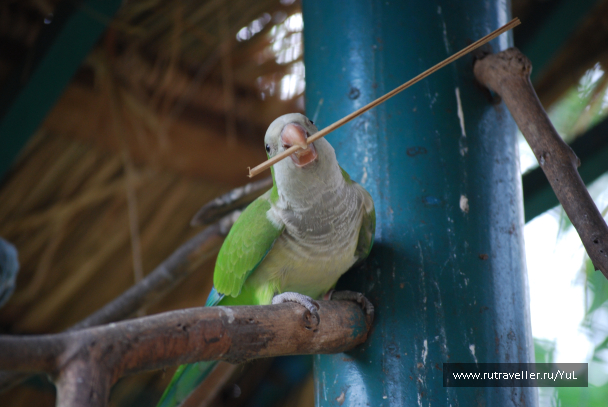 photo 2034074