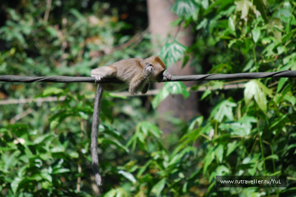 photo 2047831