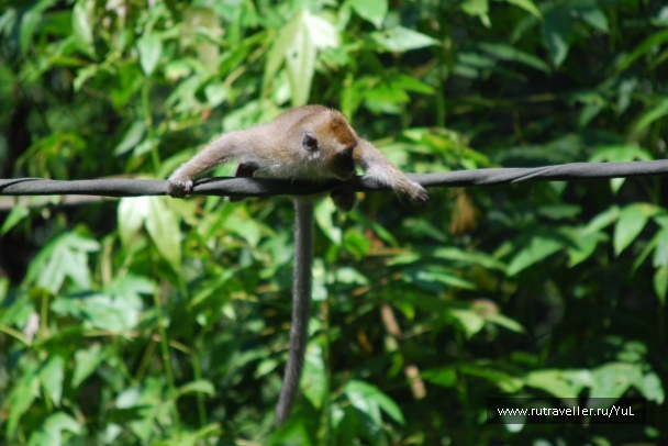 photo 2047832