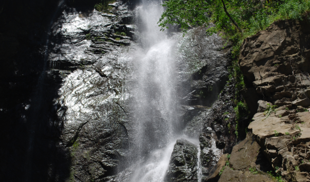 DSC_1291