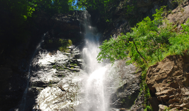 DSC_1290