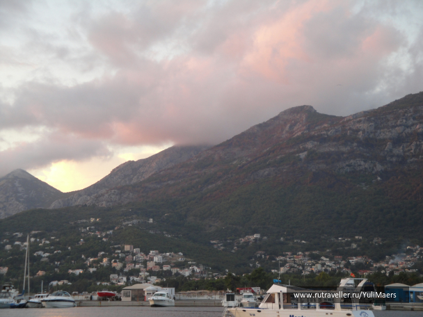 photo 1472525