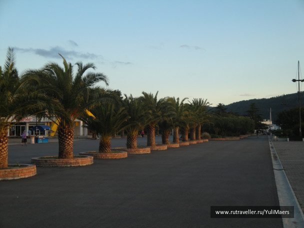 photo 1472529