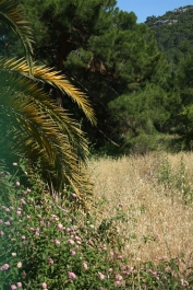 photo 778338