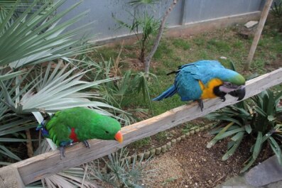 photo 469829