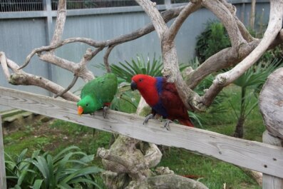 photo 469831