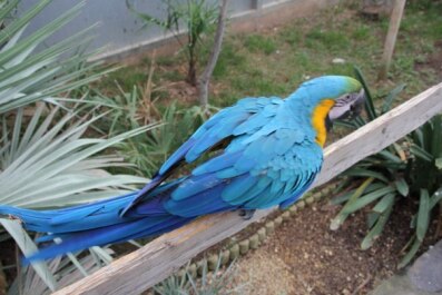 photo 469833