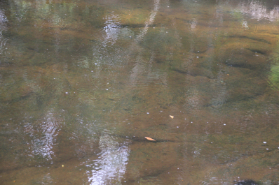 photo 1039567