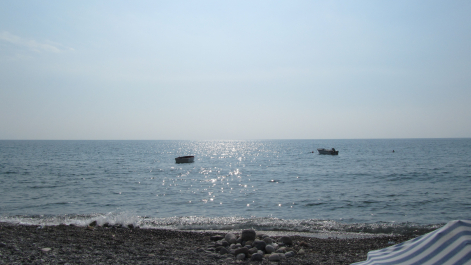 photo 1106113