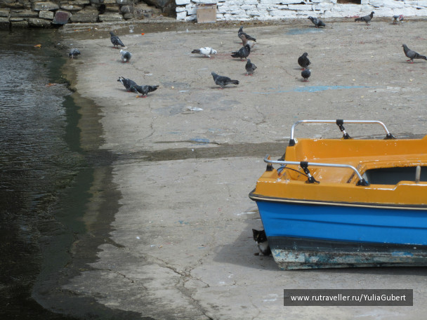 photo 1106144