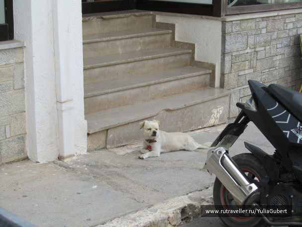 photo 1106145