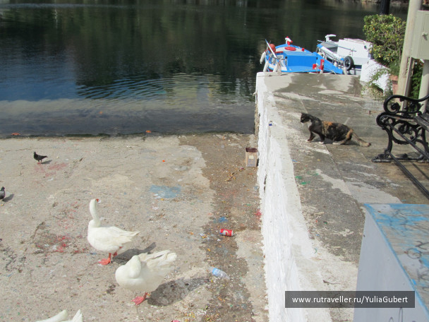 photo 1106151