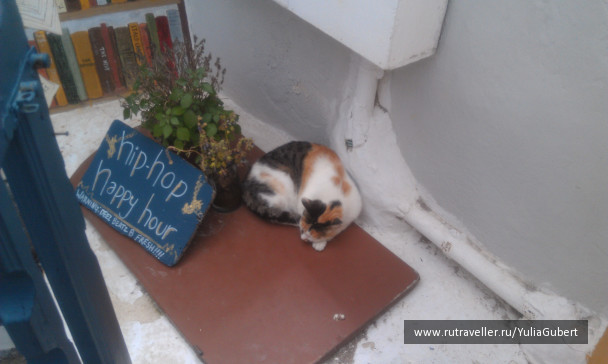 photo 1106994