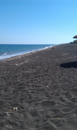 photo 1107059