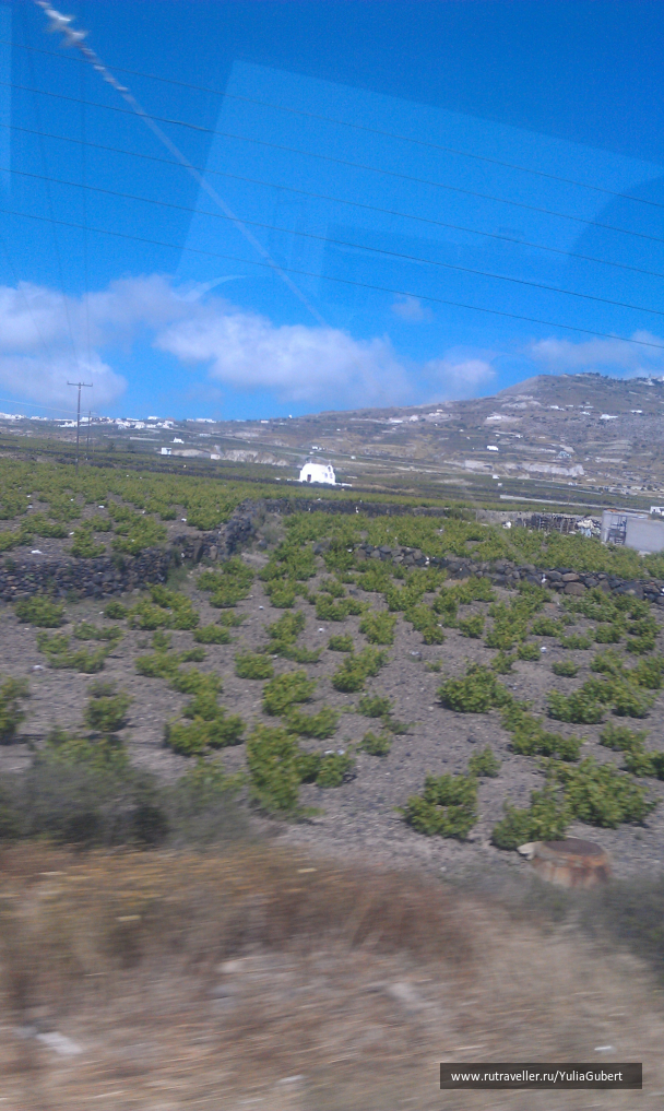 photo 1107066