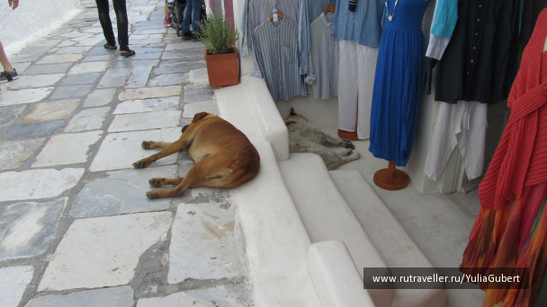photo 1107133