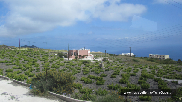photo 1107223
