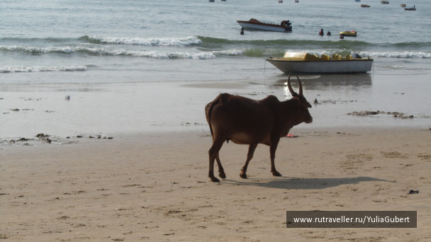 photo 1119570