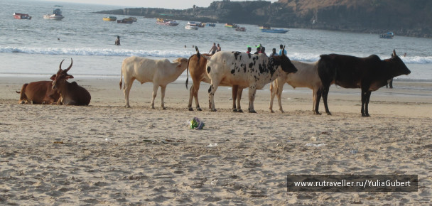 photo 1119655