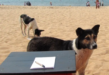 photo 1121059