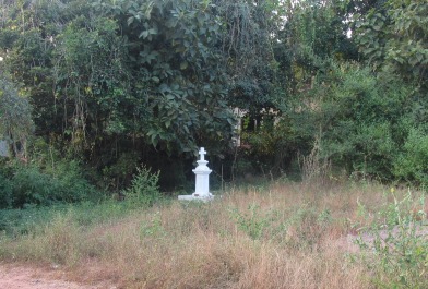 photo 1119644