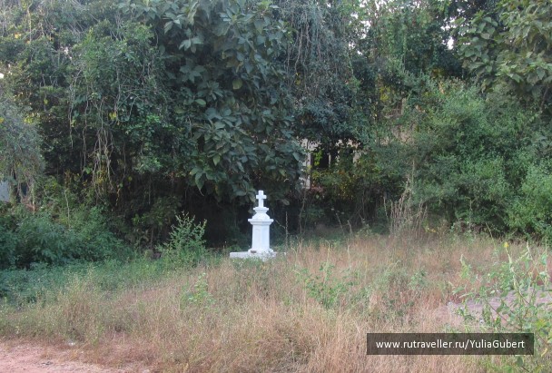 photo 1119644