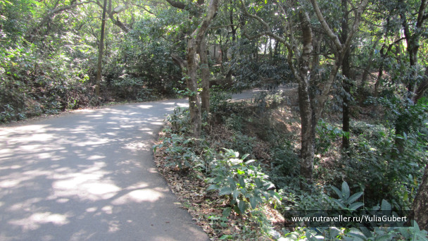 photo 1119709