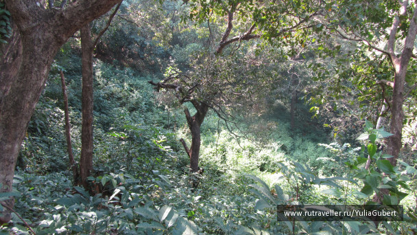 photo 1119710