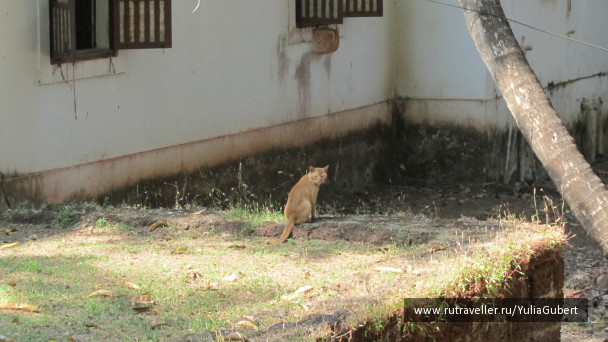 photo 1120174