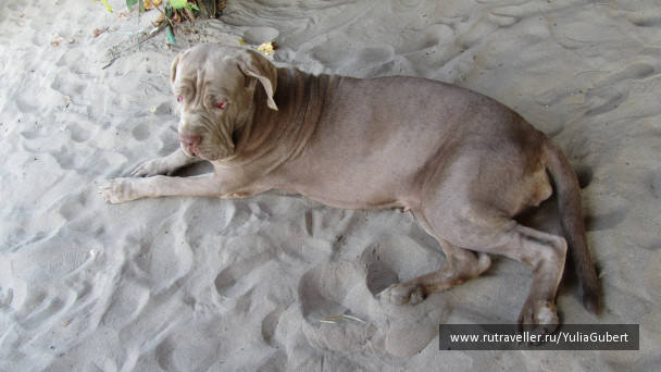 photo 1120549